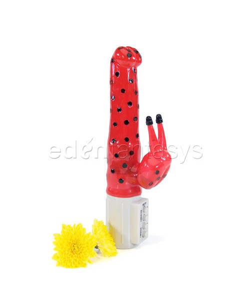 Lady bug vibe - jelly