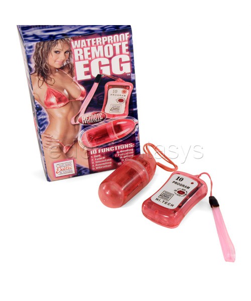 Waterproof remote egg