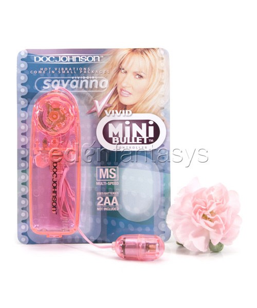 Mini bullet