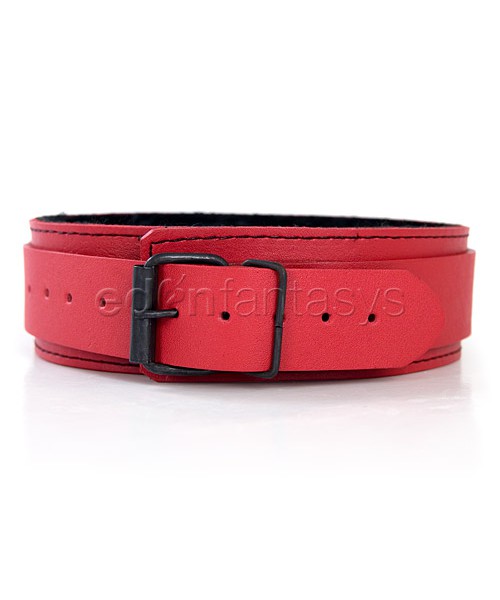 Collar with fur