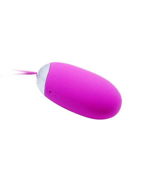 Berger remote control egg