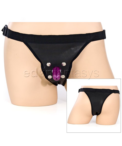 Penthouse powerlock harness