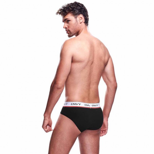 Envy Black Sheer Mesh Front Briefs
