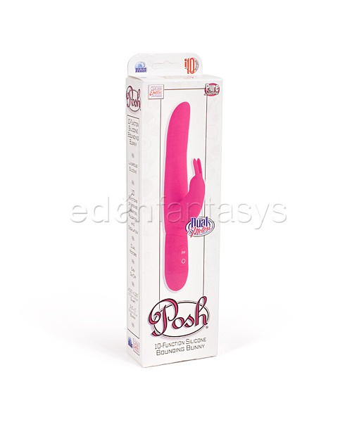 Posh bounding bunny