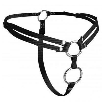 Double Penetration Harness
