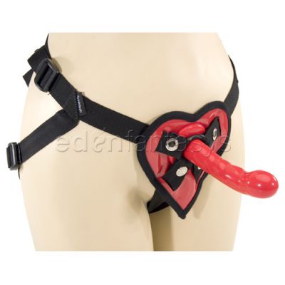 Heart harness and silicone dong set