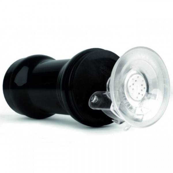 Spider Porn Star Pussy - Madison Missina