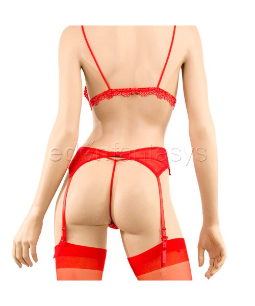 Lace bra, garter with g-string, and stocking