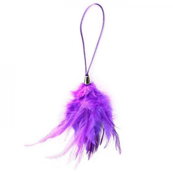 Purple Feather Tickler