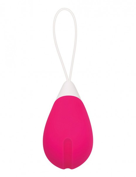 Evolved Silicone Remote Control Egg