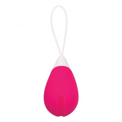 Evolved Silicone Remote Control Egg