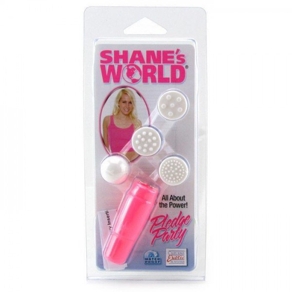 Shane’s World pledge party — image 8 of 9