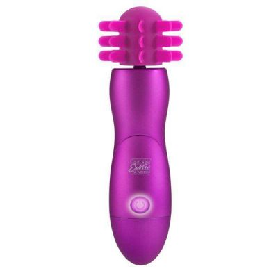 Body Soul Captivation Silicone Rotating Massager