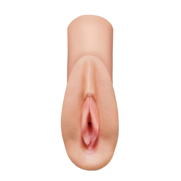 PDX PLUS Perfect Pussy Heaven Stroker — image 13 of 15