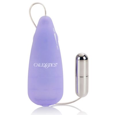 California Exotic Beginner s 2 25 Bullet Vibrator with Controller