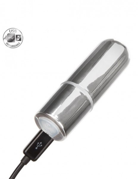CalExotics Silver Rechargeable Mini Bullet